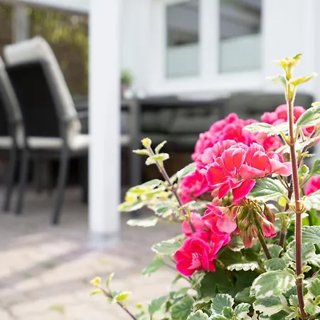 Boettgerei Moewenschiss